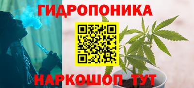 2c-b Можга