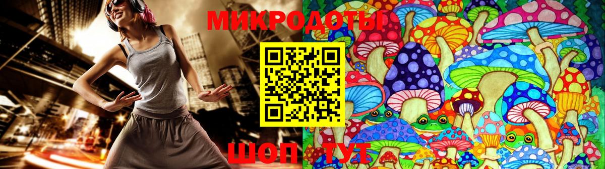 Галлюциногенные грибы Psilocybe Димитровград